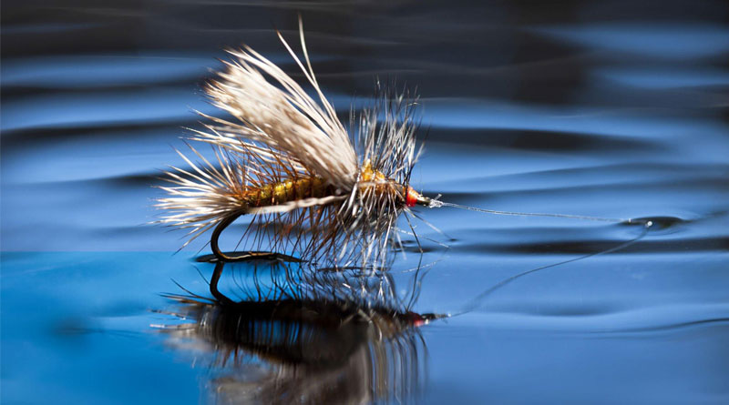 Best Fly Fishing Flies