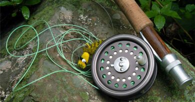 Best Fly Fishing Lines
