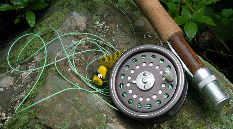 Best Fly Fishing Lines