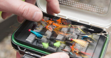Best Fly Fishing Lures