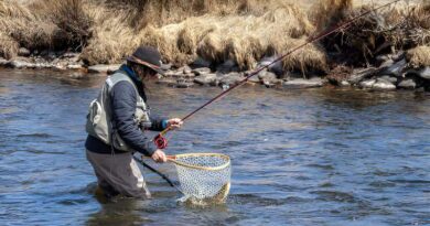 Best Fly Fishing Nets