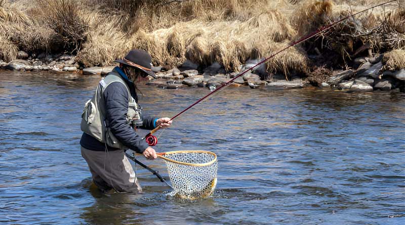 Best Fly Fishing Nets