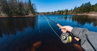 Best Fly Fishing Rods