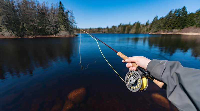 Best Fly Fishing Rods