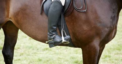 Best Horse Riding Boots For Wide Feet