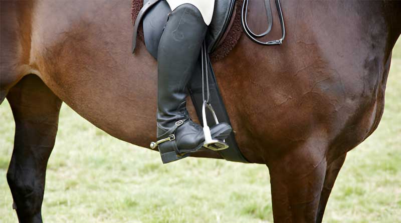 Best Horse Riding Boots For Wide Feet