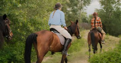 Best Horse Riding Boots for Beginners