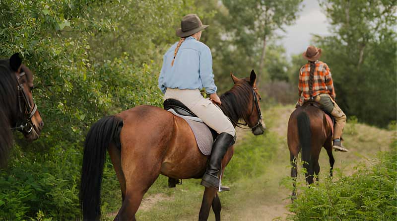 Best Horse Riding Boots for Beginners