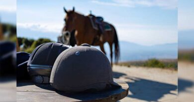 Best Horseback Riding Helmets