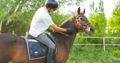 Best Horseback Riding Pants