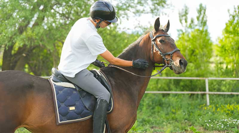Best Horseback Riding Pants