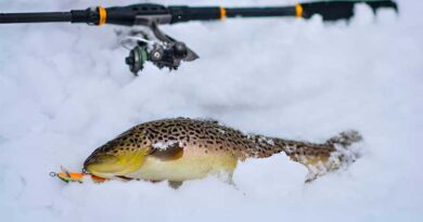 Best Ice Fishing Baits For Trout