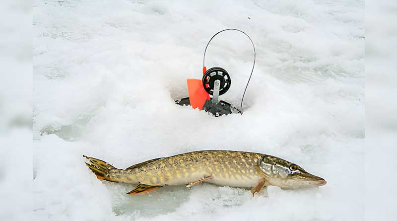 Best Ice Fishing Lines For Tip Ups
