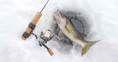 Best Ice Fishing Lines For Walleye