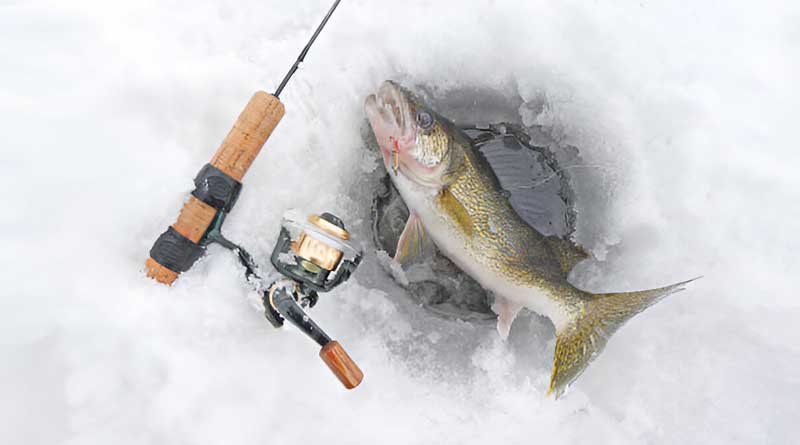 Best Ice Fishing Lines For Walleye