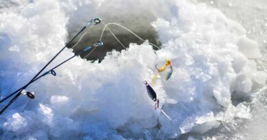 Best Ice Fishing Lures