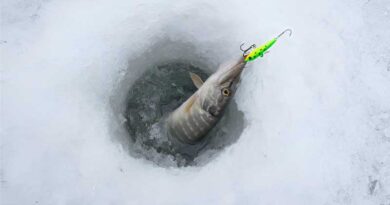 Best Ice Fishing Lures For Pike
