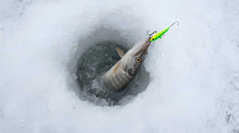 Best Ice Fishing Lures For Pike
