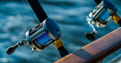Best Trolling Reels For Trout