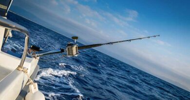 Best Trolling Rods For Salmon