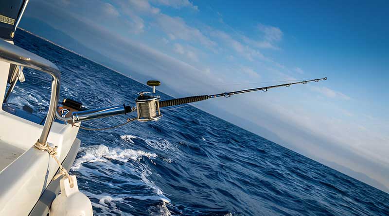 Best Trolling Rods For Salmon