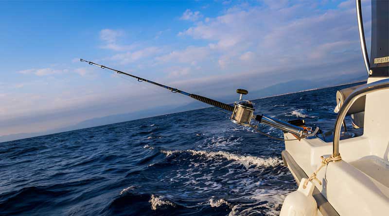 Best Trolling Rods For Trout