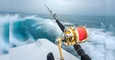 Best Trolling Rods For Walleye