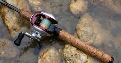 Best Ultralight Baitcasting Reels