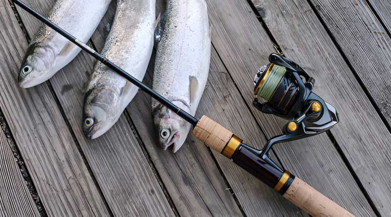 Best Ultralight Fishing Combos