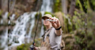 Best Ultralight Fishing Lures