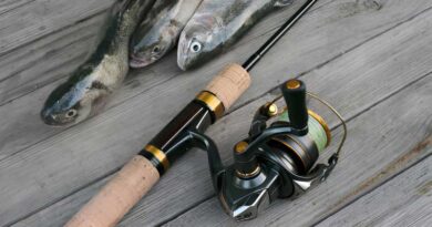 Best Ultralight Fishing Reels