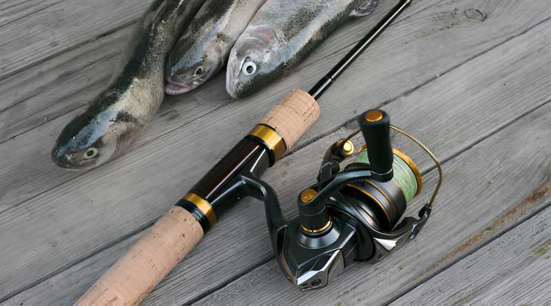 Best Ultralight Fishing Reels