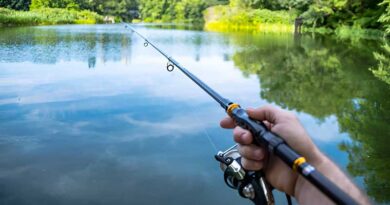 Best Ultralight Fishing Rods