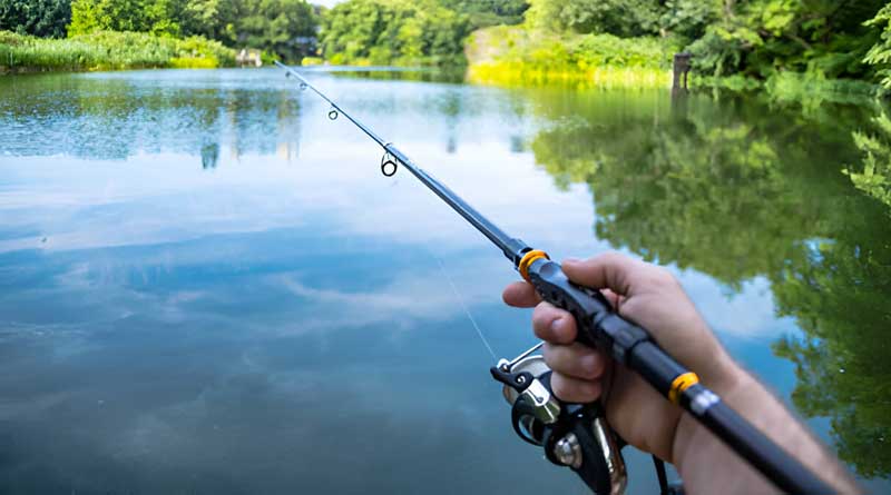 Best Ultralight Fishing Rods