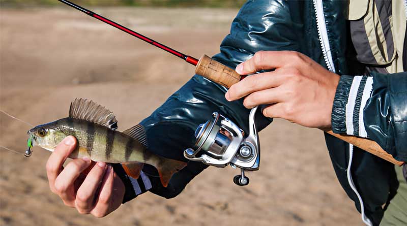 Best Ultralight Spinning Reels