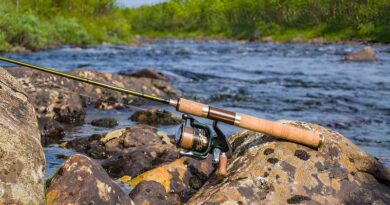 Best Ultralight Spinning Rods