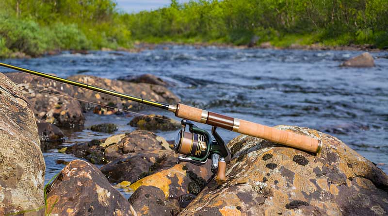 Best Ultralight Spinning Rods