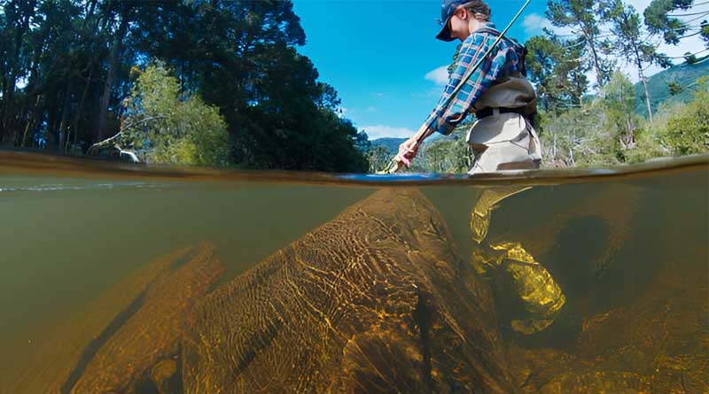 Best Wading Boots For Women