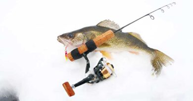Best Walleye Ice Fishing Lures