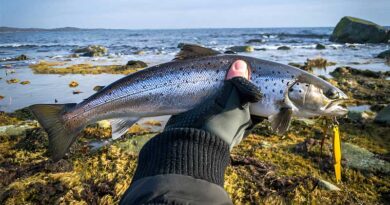 Best Waterproof Fishing Gloves