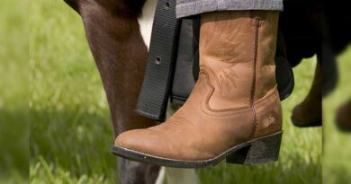 Best Western Horse Riding Boots
