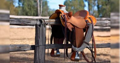 Best Western Horse Saddles