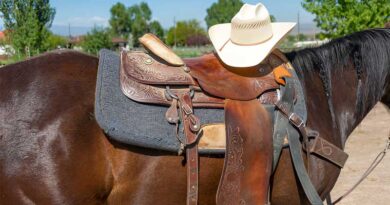 Best Western Saddle Pads