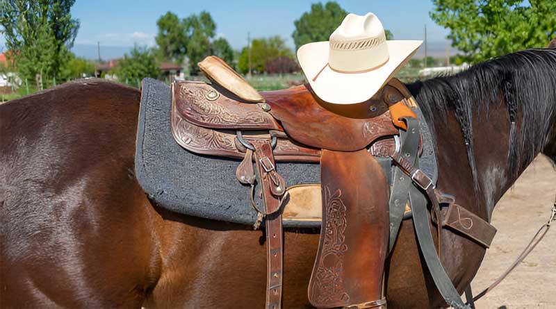 Best Western Saddle Pads