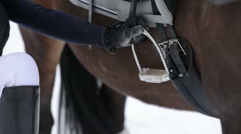 Best Winter Horse Riding Gloves