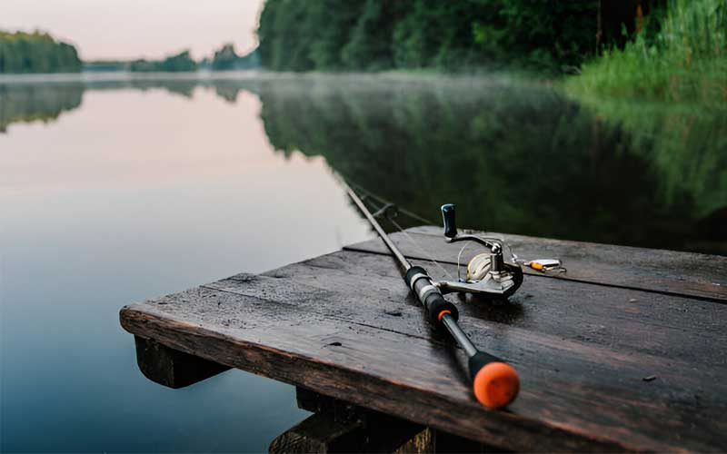 How to Choose Budget Fishing Rods?