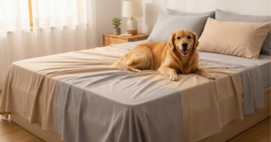 Best Bed Sheets For Dog Owners