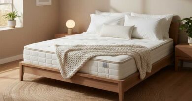 Best Budget Queen Mattresses