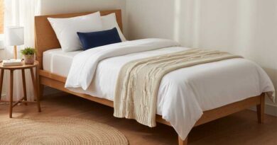 Best Budget Twin Mattresses