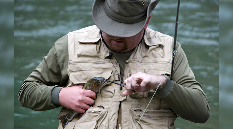 Best Fly Fishing Forceps